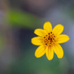 2025年最新开奖结果085期已公布,速来查看中奖详情 12u5v