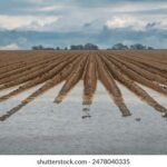 2025年开奖结果查询与最新公布详情 6euie5pe