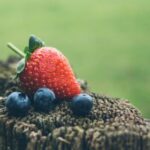 2025年最新开奖结果查询与查看指南 8jp5fs