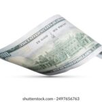 2025年最新开奖记录完整版汇总查询 an7xhfp