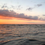 2025年最新开奖查询结果及历史数据汇总 dnrbv