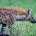 2025年最新P3彩票开奖结果完整公布 iixpge2a