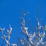 2025年排三开奖最新结果与走势分析 jbcy0f