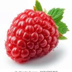 2025年排列五最新开奖结果查询与历史数据分析 kx1h66