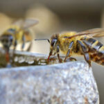 2025年开奖图景揭晓:未来大奖花落谁家 l7kg2hk