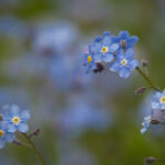 2025年最新开奖记录统计表完整版 srv9sl5y