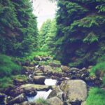 2025年最新开奖结果查询首页正式上线 t8ajn