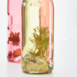 2025年最新123开奖结果查询与官方公布 xg3ke854hy